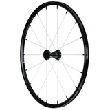 Blade LXL by Spinergy (Pair)